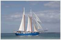 Gaffelschoner Stortemelk