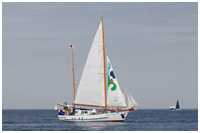 Seekreuzer Greif von Ueckermünde