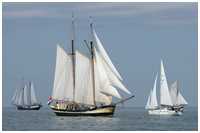 Gaffelschoner Zuiderzee