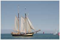 Gaffelschoner Zuiderzee