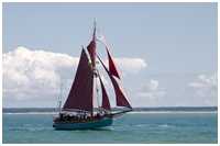 Jagt Ellen