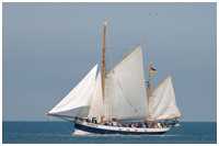 Heringslogger Belle Amie