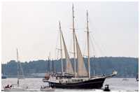 Dreimast-Stagsegelschoner Pedro Doncker