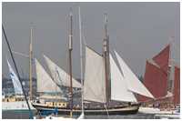 Gaffelschoner Zuiderzee