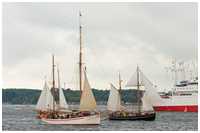 Haikutter Carmelan und Galeasse Fulvia