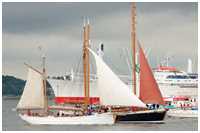 Heringslogger Pirola