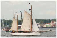 Heringslogger Pirola