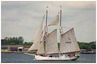 Logger Joanna Saturna