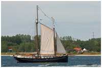 Logger Marie Galante