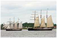 Dreimast-Marssegelschoner Hendrika Bartelds und Dreimast-Bramsegelschoner Gulden Leeuw