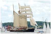 Barkentine Gulden Leeuw