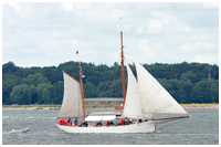 Heringslogger Pirola