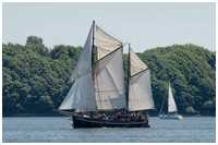 Besan-Ewer Flinthörn