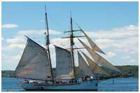 Haikutter Fiddlers Green