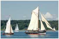 Krabbenkutter Mytilus