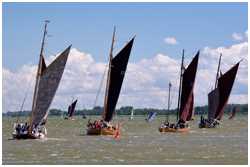 Zeesbootregatta Dierhagen