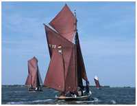 Zeesboot Rümdriwer (FZ 22)