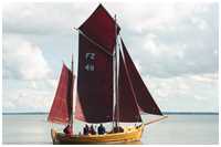 Zeesboot Astrild (FZ 49)