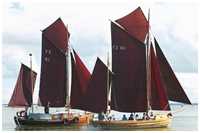 Zeesboot Schmuggler (FZ 64)