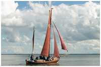 Zeesboot Swantewit (FZ 31)