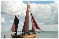 Zeesboot Stine (FZ 67)