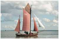 Zeesboot Marie-Luise (FZ 52)