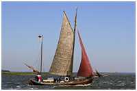 Zeesboot Swantewit (FZ 31)