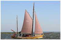 Zeesboot Bill (FZ 4)