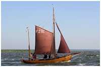 Zeesboot Traudi (FZ 92)