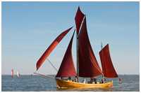 Zeesboot Hanna (FZ 70)