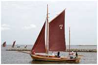 Zeesboot Borsgrieper (FZ 5)