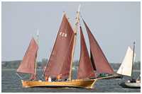 Zeesboot Schwart Johann (FZ 6)