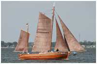 Zeesboot Hanne Nüte (FZ 14)