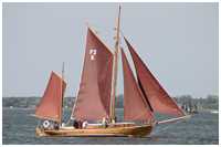 Zeesboot Borsgrieper (FZ 5)