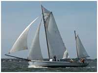 Zeesboot Conni (FZ 80)