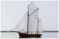 Zeesboot Heimat (FZ 8)