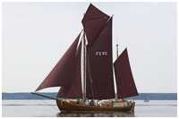 Zeesboot Oma Else (FZ 82)