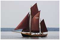 Zeesboot L&uuml;tt Hanning (FZ 99)