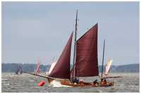 Zeesboot Butt (FZ 11)