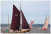 Zeesboot Seriola (FZ 41)