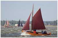 Zeesboot L&uuml;tt Butt (FZ 97)