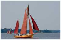 Zeesboot Paula (PRU. 7)