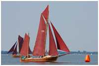 Zeesboot Seriola (FZ 41)