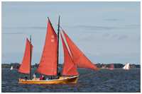 Zeesboot Gertrud (FZ 25)