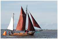 Zeesboot Old Lady (FZ 1)