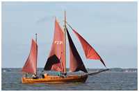 Zeesboot Paula (FZ 84)