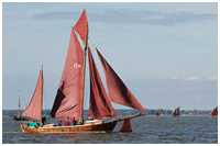 Zeesboot Seriola (FZ 41)