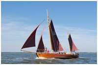 49. Zeesbootregatta Bodstedt 7. September 2013