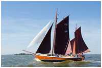 49. Zeesbootregatta Bodstedt 7. September 2013