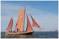 49. Zeesbootregatta Bodstedt 7. September 2013